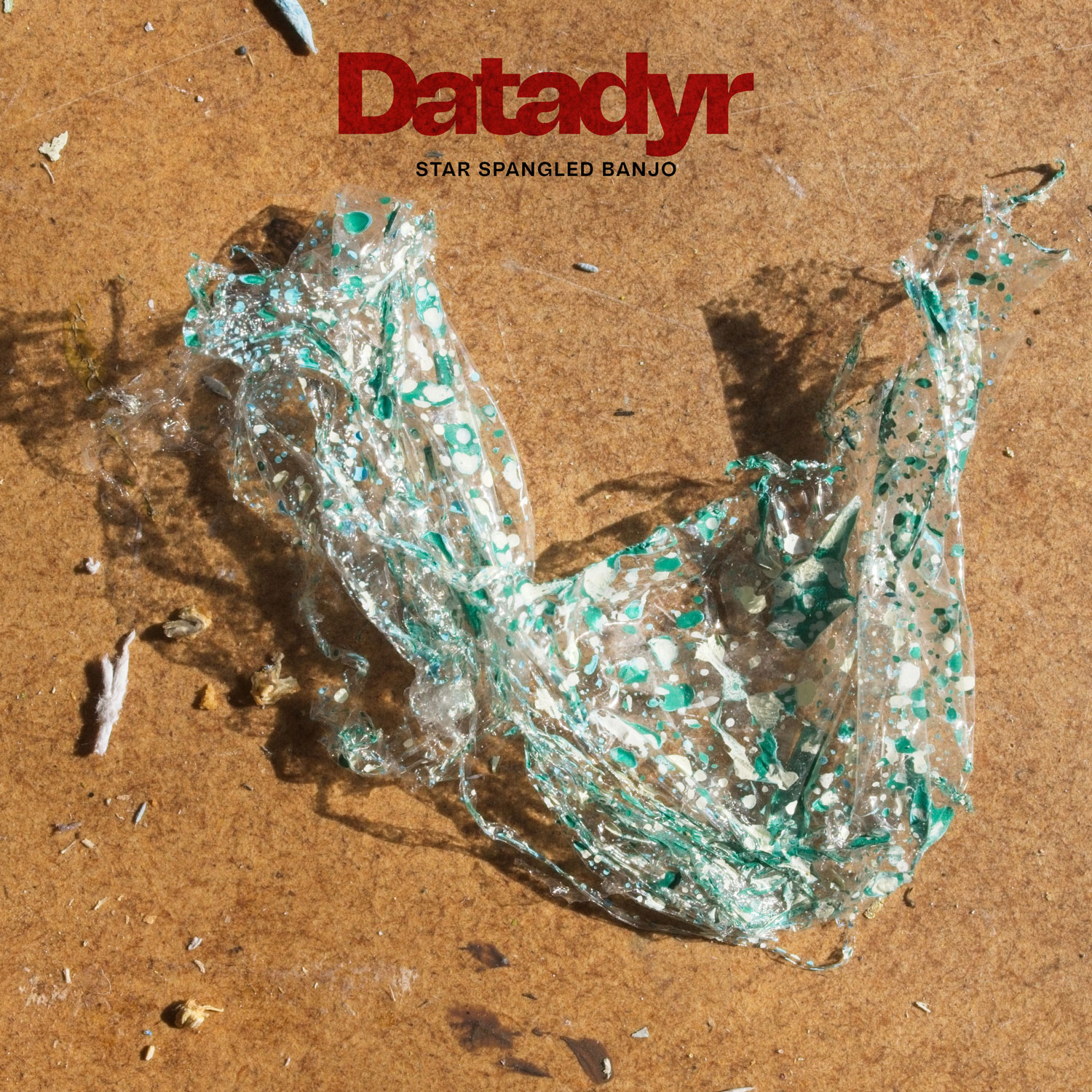 datadyr - star spangled banjo