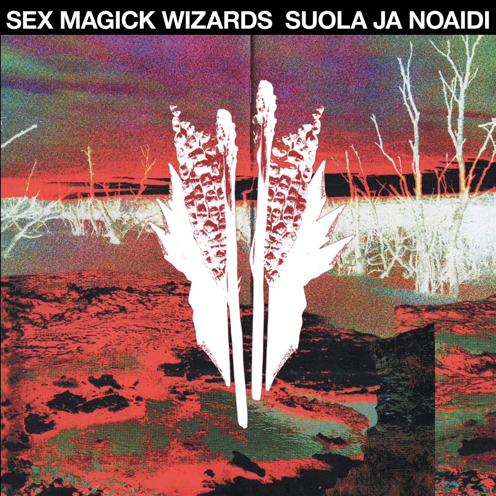 Cover for Sex Magic Wizards - Suola Ja Noaidi