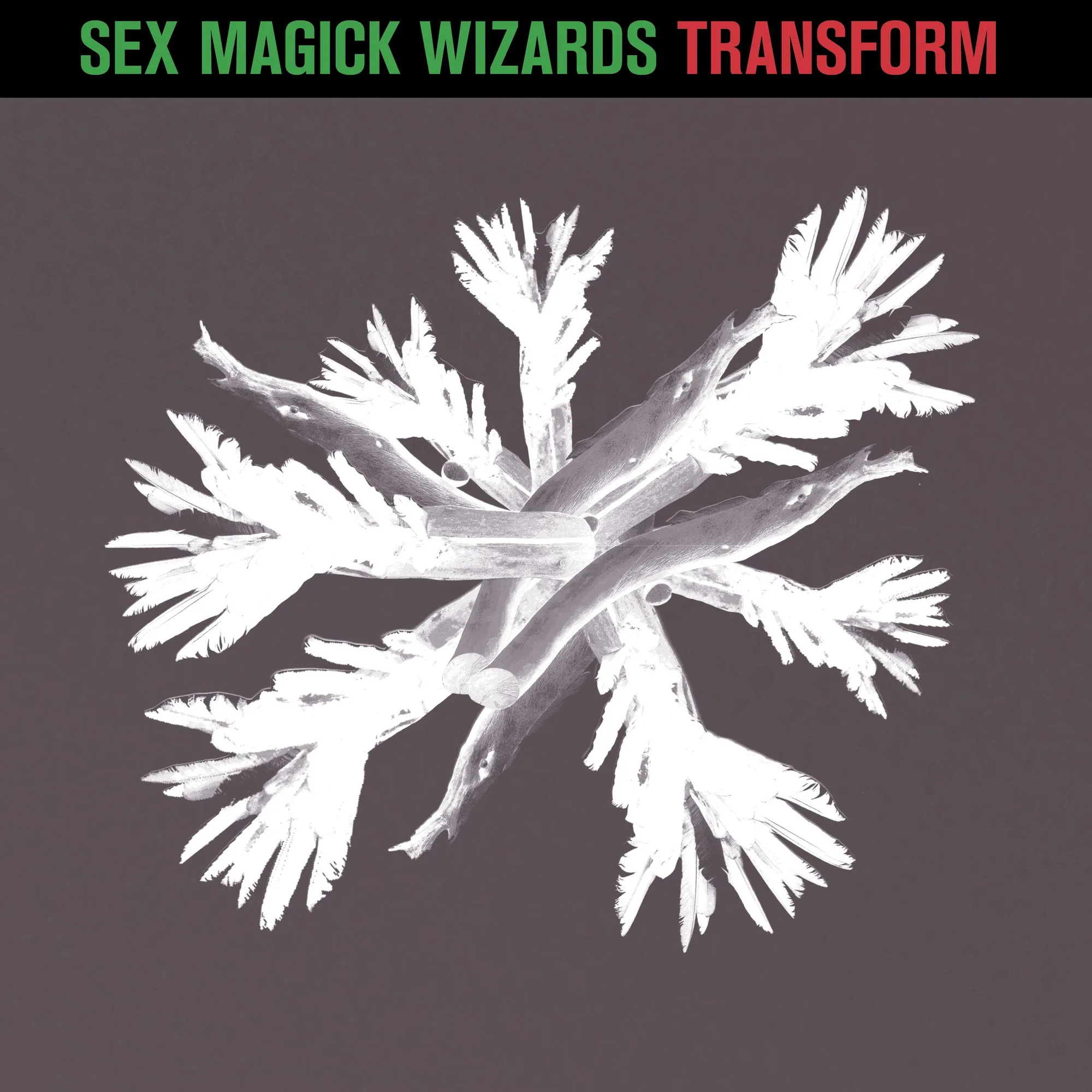Sex Magick Wizards announce new single 1 Sex Magick Wizards announce new single